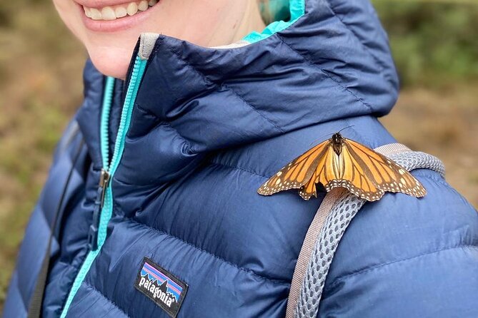 Monarch Butterfly Tour Mexico: Sierra Chuincua and Magic Town - Key points to know before booking