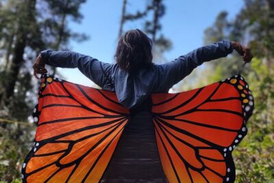 Monarch Butterfly Tour Mexico: Sierra Chuincua and Magic Town
