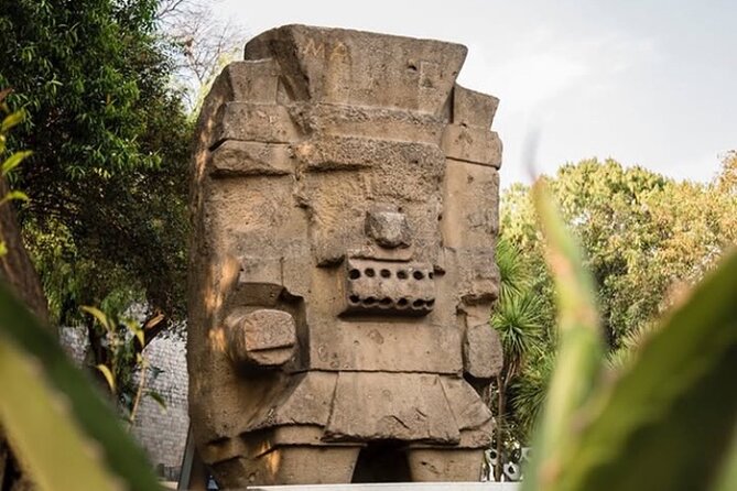 Museum of Anthropology skip the line tour for Families & Groups - Timing, comfort, and practical limits