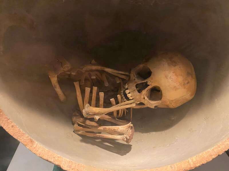 National Museum of Anthropology: a journey into Mexico's past - English lang. - Why this museum makes more sense with a guide