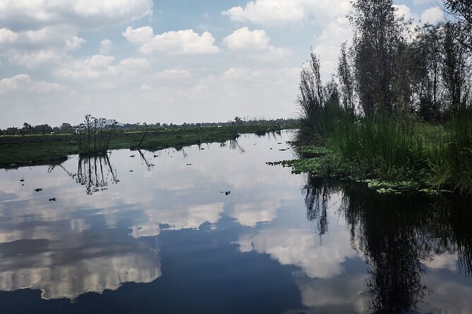 Pre-Hispanic Xochimilco, local food included and ajolotario. - Why this Xochimilco tour feels different