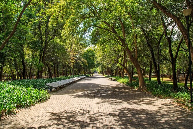 Private Chapultepec Park by Bike Guided Tour - Los Pinos, from presidential residence to public culture