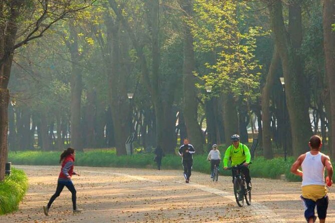 Private Chapultepec Park by Bike Guided Tour - The poets’ road and Mexico’s literary memory