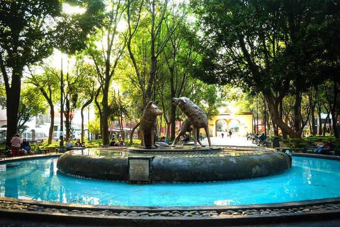 Private City Tour in Frida Kahlo, Coyoacan, and Xochimilco - Why this private tour works well in southern Mexico City