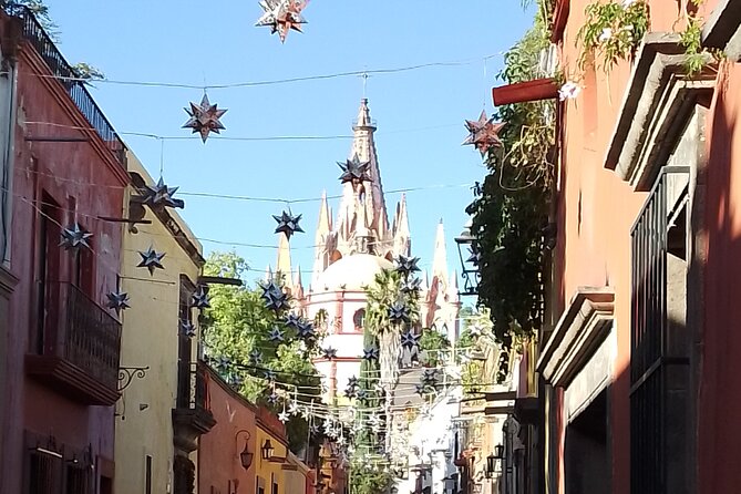 Private Historical Tour in San Miguel de Allende and Guanajuato - The guide makes the difference