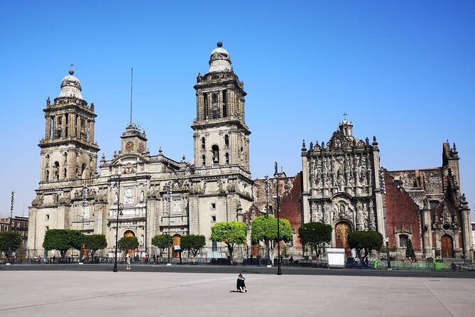 PRIVATE Tour Downtown & Anthropology Museum & Chapultepec Castle - Chapultepec Castle above the forest