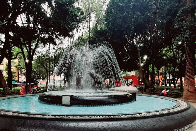 Private Tour to Xochimilco, Coyoacan and the World of Frida Kahlo - Who should book this day?