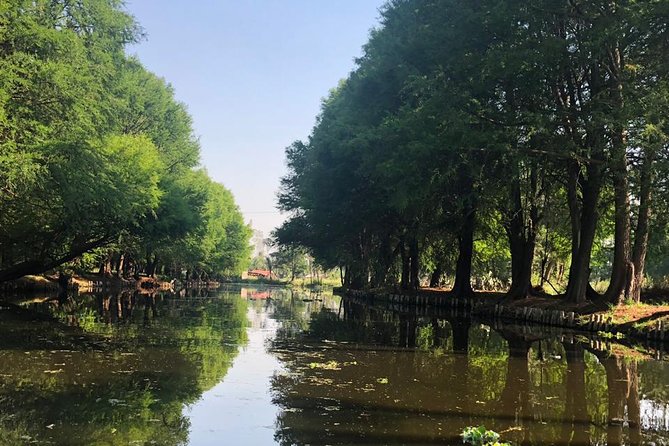 Private Tour: Xochimilco, Coyoacan and Frida Kahlo Museum. - Who should book this experience