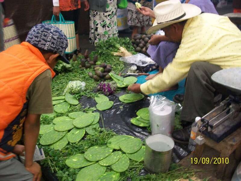 Puebla: 5-Hour Culinary Tour with Tastings - Markets: seeing the ingredients before the meal