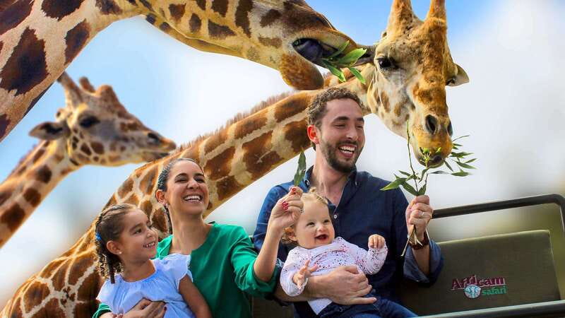 Puebla Africam Safari Park, Live an Unforgettable Adventure! - Key points to know before you book