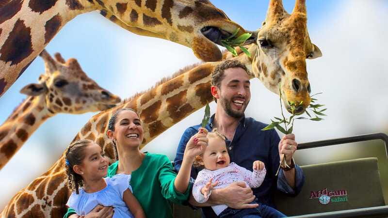 Puebla Africam Safari Park, Live an Unforgettable Adventure! - What the Spanish guide adds
