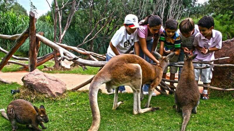 Puebla Africam Safari Park, Live an Unforgettable Adventure! - Practical advice for a better day