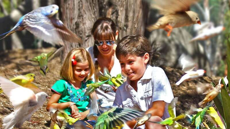 Puebla Africam Safari Park, Live an Unforgettable Adventure! - Should you book Africam Safari Puebla?