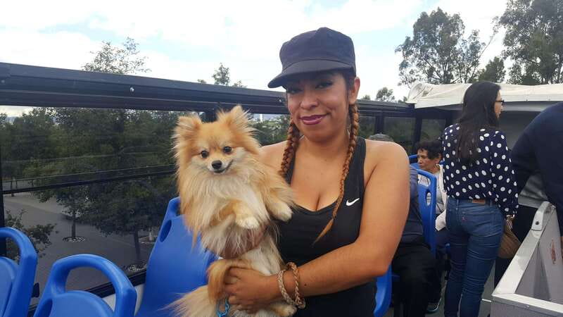Puebla: Hop-On Hop-Off Bus Tour with Audio Guide - The museums, Planetarium, and Cable Car area