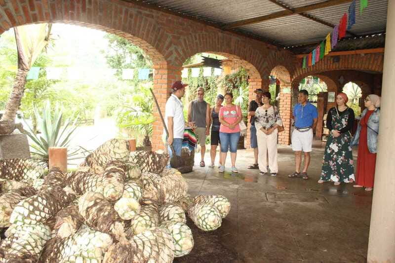 Puerto Vallarta: City Tour, Tequila and Coffee Factory Tour - Walking the Malecon and seeing Puerto Vallarta’s public face