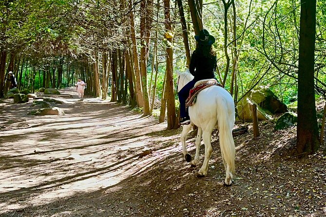 Ride Horses, Learn to Cook with Locals in Mexico City - From Casa Bruna in Condesa to a rural village