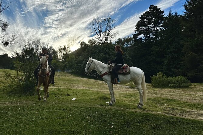 Ride Horses, Learn to Cook with Locals in Mexico City - Cooking beside a family cabin fire