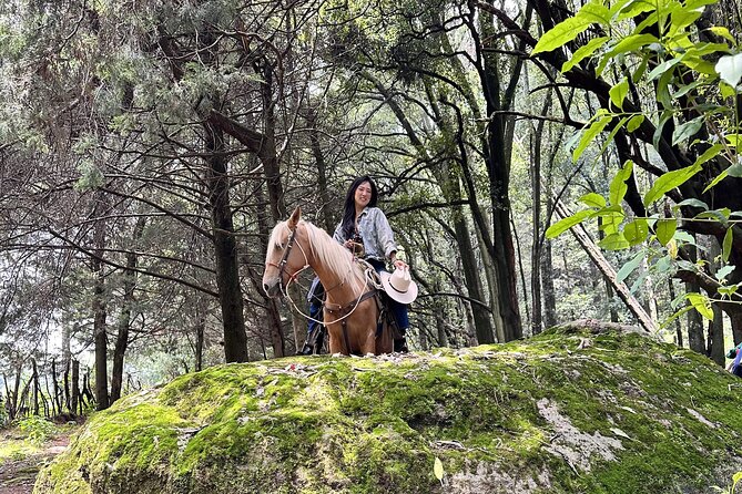 Ride Horses, Learn to Cook with Locals in Mexico City - What makes the food portion worth your time