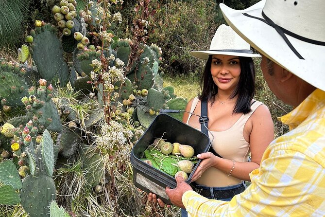Ride Horses, Learn to Cook with Locals in Mexico City - The ride home and the day’s pace