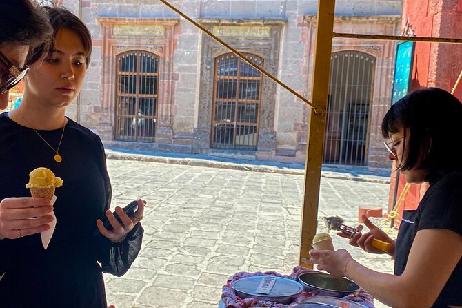 San Miguel de Allende Tour from Mexico City - The panoramic view before town