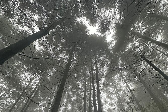 Sunrise in Las Alturas Hiking in El Pico del Aguila Tlalpan - What the $107.47 price covers