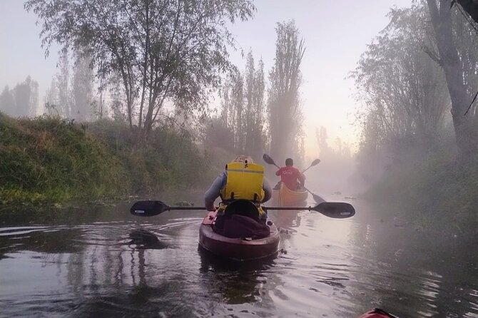 Sunrise Kayak Tour in Xochimilco - Why a pre-sunrise paddle changes Xochimilco