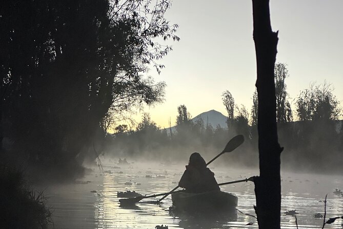 Sunrise Kayak Tour in Xochimilco - Is the $28.68 price good value?