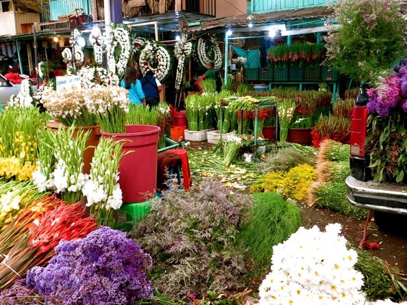 Taco Night Private Food Tour in Mexico City - Key points before you book