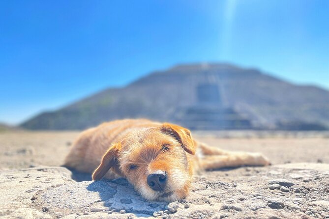 Teotihuacan and My Grandma's Food Tour - Timing, comfort, and what to bring