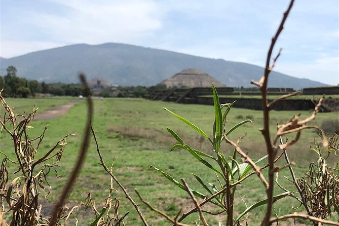 Teotihuacan & Basilica of Guadalupe - Private Tour - The Basilica of Guadalupe changes the mood