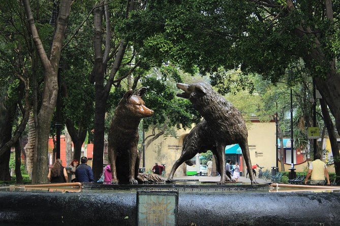 Teotihuacan & Guadalupe Shrine + Xochimilco, Coyoacán & Frida Kahlo Combo Tour - Xochimilco is the most playful stop