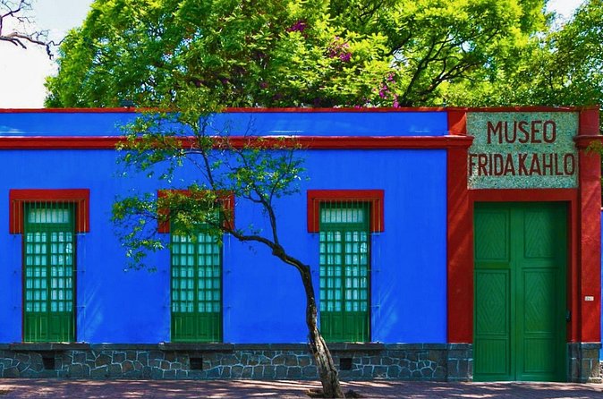 Ticket to the Frida Kahlo Museum - Who should choose this experience?