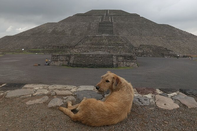 Tour to Teotihuacan from CDMX with entrances included - Meeting at Parque México before the roads fill