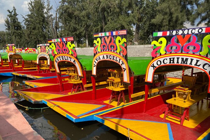 Trajinera Party at Xochimilco with Drinks, Mariachi & Snacks - Snacks, tacos, and realistic food expectations
