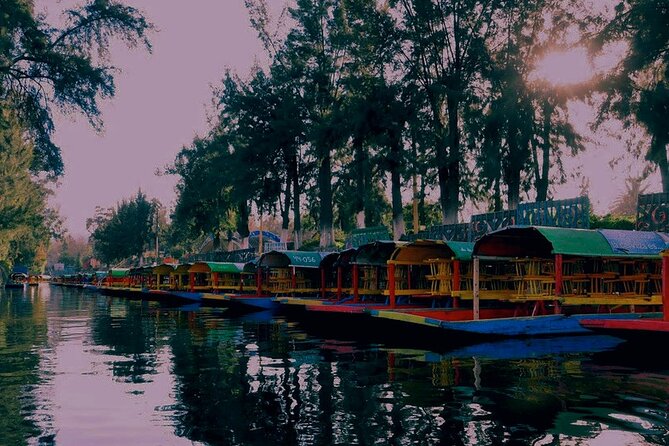 Trajinera Party at Xochimilco with Drinks, Mariachi & Snacks - Pickup, meeting point, and getting there