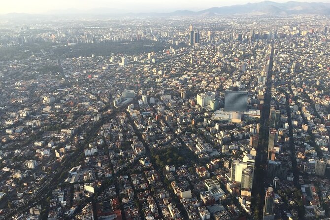 Transfer & assistance one-way from/to Mexico City Airport/hotel - Finding your driver after customs