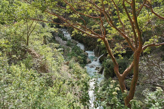 Travel to Tolantongo: Transportation and tickets - The warm river below the caves