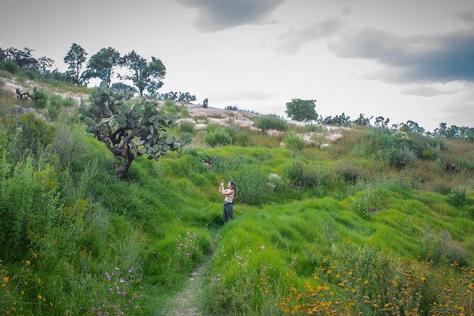 Unique cablecar experience, pulque tasting &unbeatable views - A short hike with a big payoff