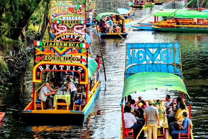 Visit to Xochimilco, Coyoacán and Ciudad Universitaria - Transport, pickup, and the seven-hour reality