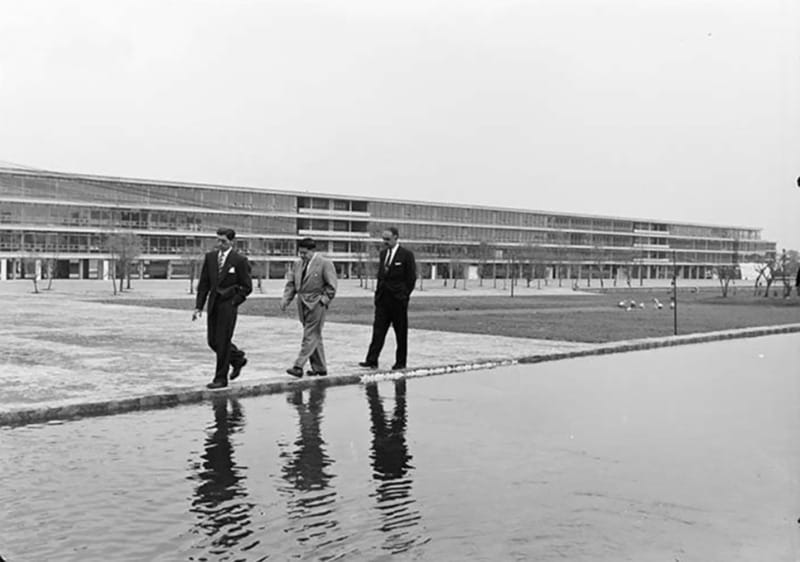 Walk around UNAM campus, a UNESCO World Heritage Site - Volcanic ground beneath the university