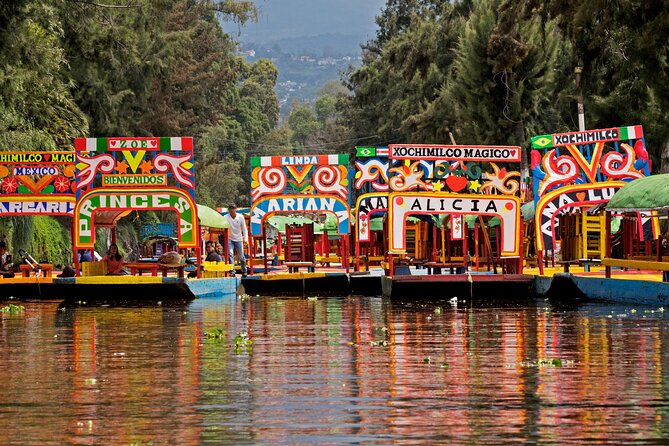 Xochimilco and Coyoacan and Frida Kahlo Museum optional - Xochimilco by private trajinera