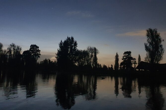 Xochimilco Barco Fiesta Tentacion 18+ with Open Bar and Tacos - What happens during the two-hour cruise