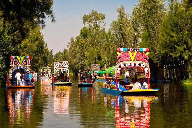 Xochimilco, Casa de Frida Kahlo, Coyoacán and UNAM - Key points to know before booking