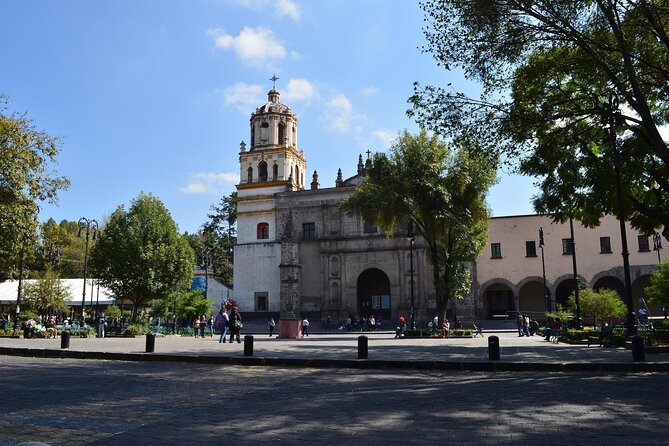 Xochimilco, Coyoacan and Frida Kahlo Museum Tour - Casa Azul and the ticket problem