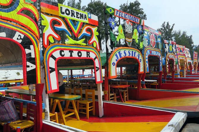 Xochimilco, Coyoacan and Frida Kahlo Museum Tour - UNAM: murals, Olympics, and public art