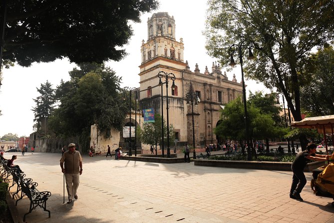 Xochimilco, Coyoacan and Frida Kahlo with Optional Lunch - Transport, Timing, and the Traffic Problem