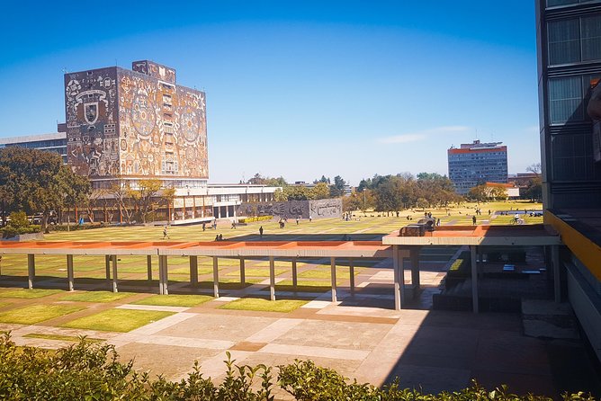 Xochimilco, Coyoacan, Aztec Stadium & UNAM - Xochimilco by trajinera