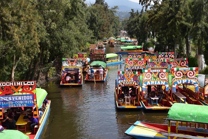XOCHIMILCO & COYOACAN (Private) - The private format is the real selling point