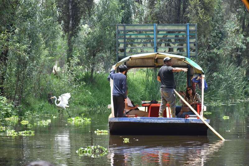 Xochimilco Ecological Tour – Away From the Crowds (3 Hours) - Key points at a glance