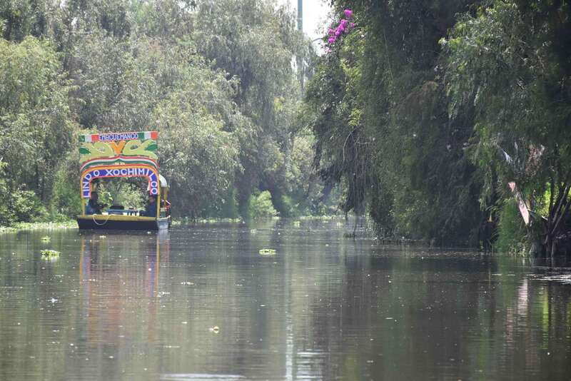 Xochimilco Ecological Tour – Away From the Crowds (3 Hours) - Why the ecological side of Xochimilco matters